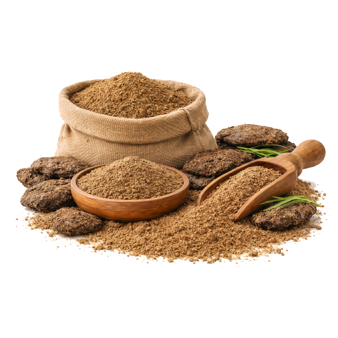 Cow Dung Powder